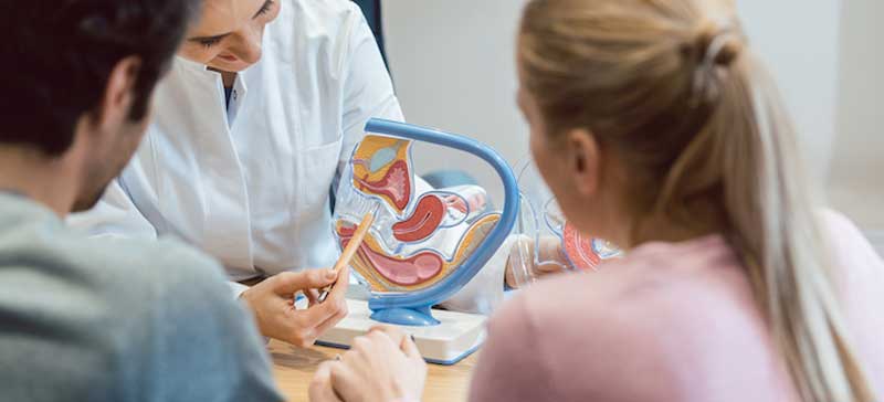 Infertility Treatment and IUI