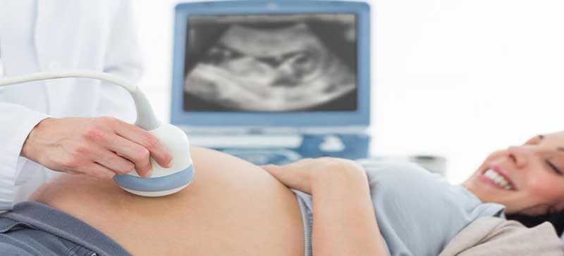 Follicular Monitoring